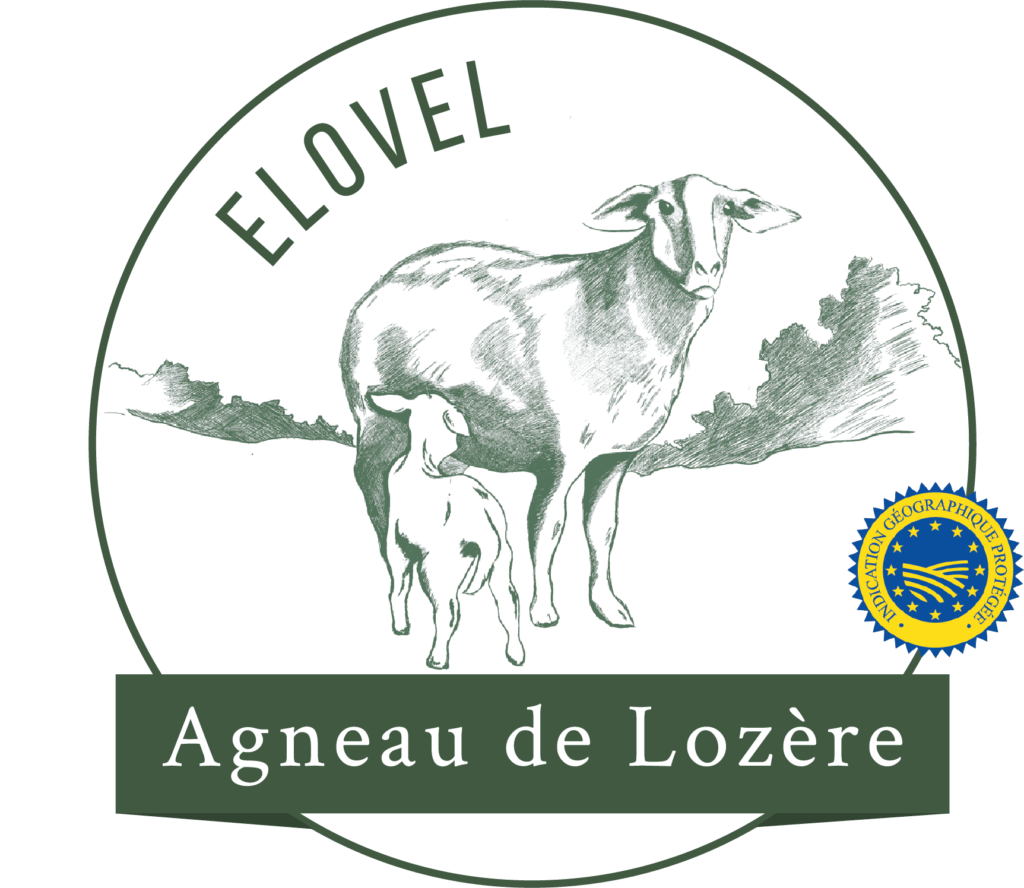 Logo Elovel